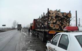  DOI BĂRBAȚI DIN CÂLNIC, BĂNUIȚI DE TĂIERE ILEGALĂ DE MATERIAL LEMNOS