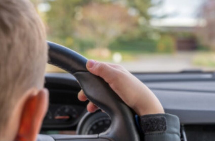  CONDUCERE FĂRĂ PERMIS