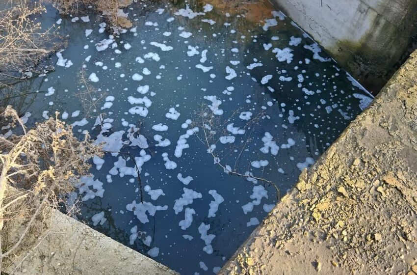  Poluarea pârâului din cartierul Primăverii – măsuri și sancțiuni aplicate de autorități