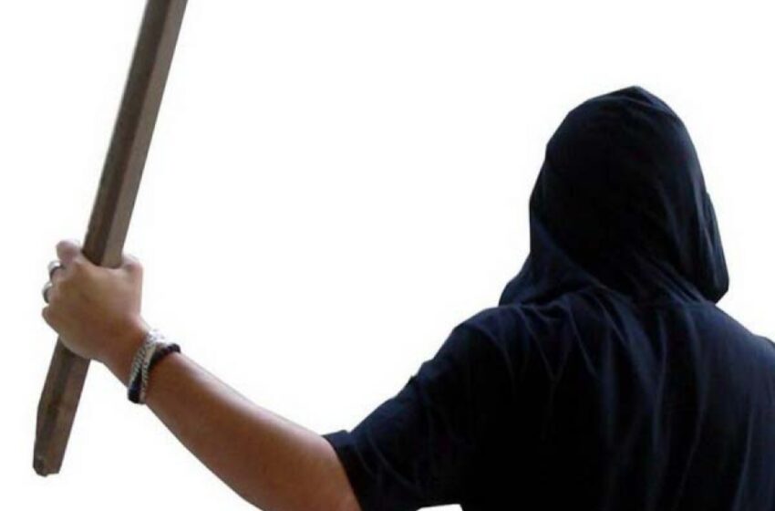  L-A LOVIT CU LEMNUL ÎN CAP